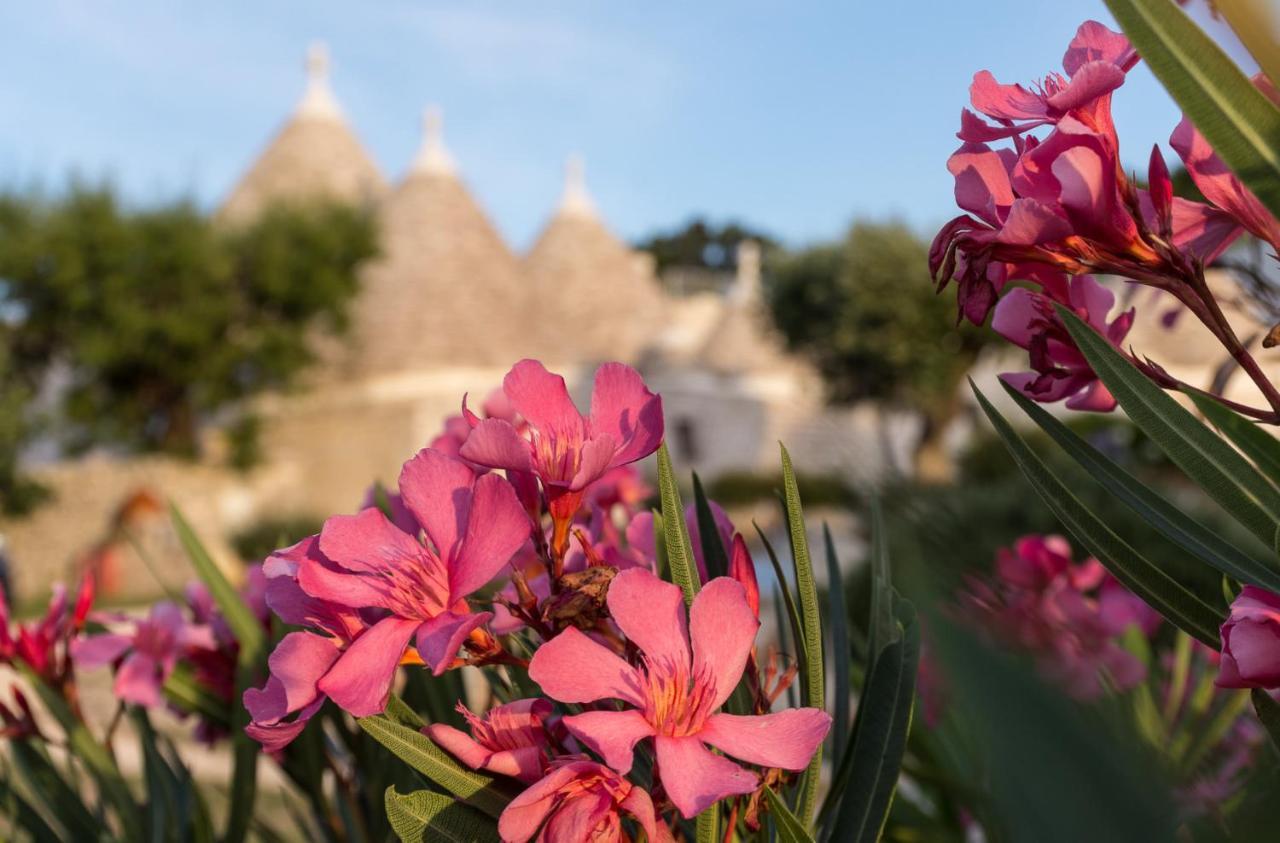 Apartamento Trulli Angela Locorotondo Exterior foto